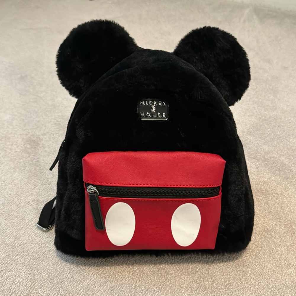 Mickey Mouse Teddy backpack. Feels like a teddy bear.